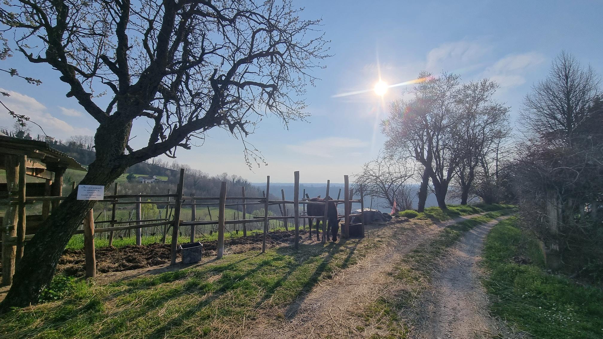 Golf Vacations in the Langhe Italy