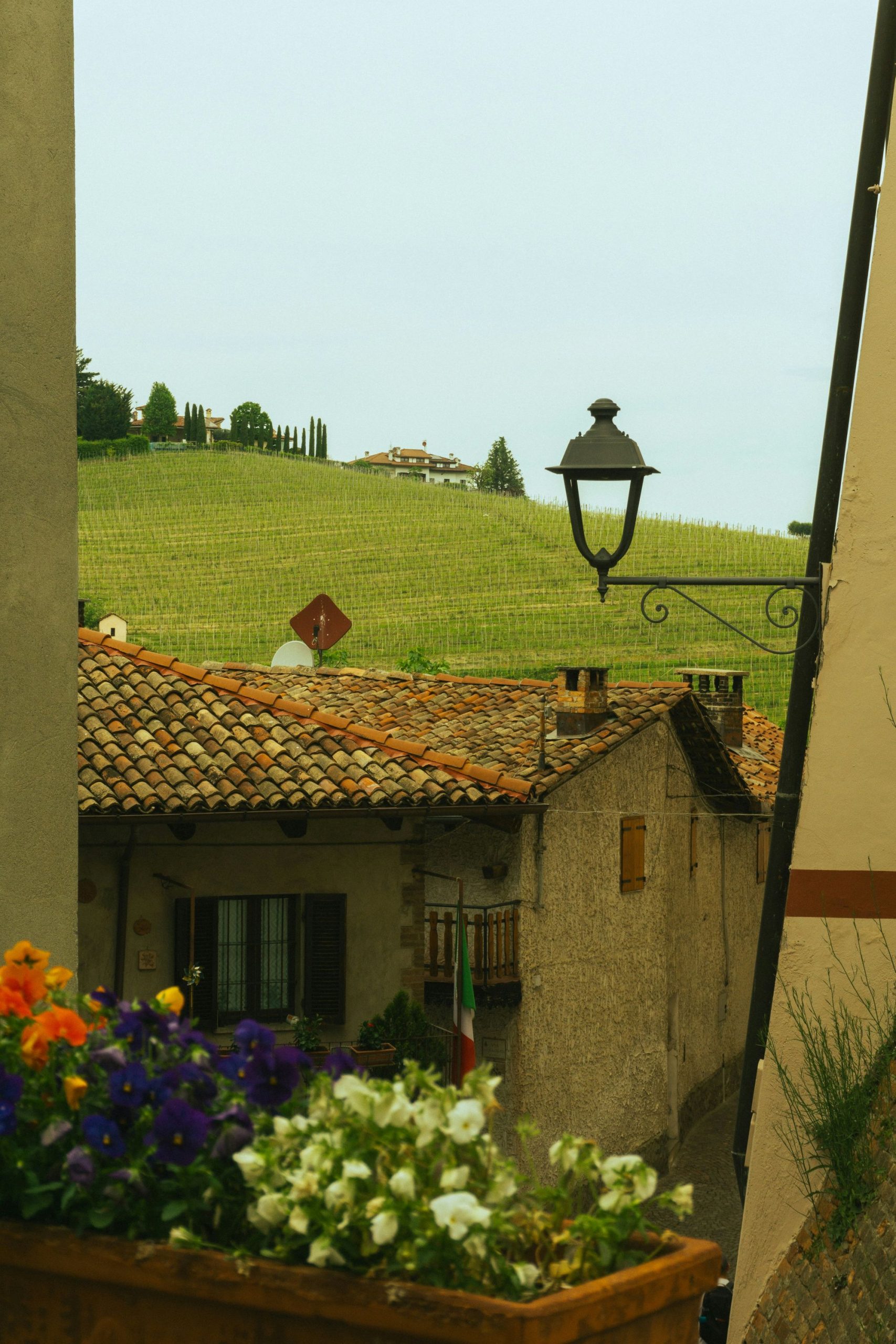 Luxury Langhe Experiences